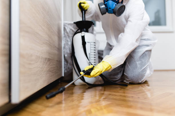 Pest Control Cost in Laughlin, NV
