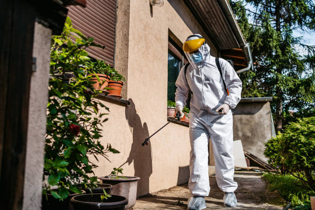 Best Pest Prevention Services  in Laughlin, NV