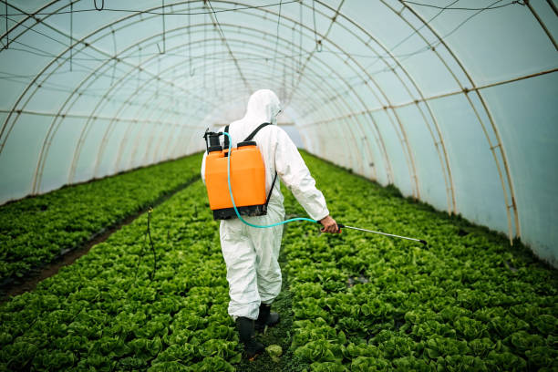 Best Pest Prevention Services  in Laughlin, NV
