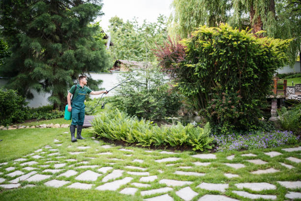 Best Mosquito Control Services  in Laughlin, NV
