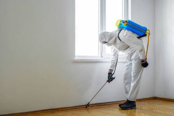Best Affordable Pest Control Services  in Laughlin, NV