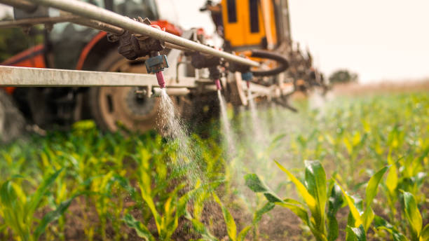 Best Mosquito Control Services  in Laughlin, NV